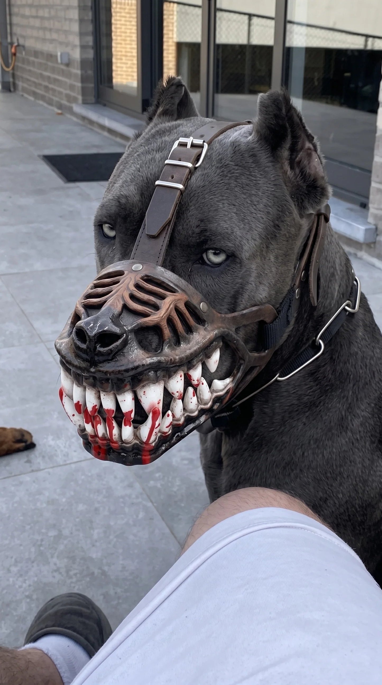 🎃 EARLY HALLOWEEN 50% OFF🔥🐶Hell Hound Monster Muzzle