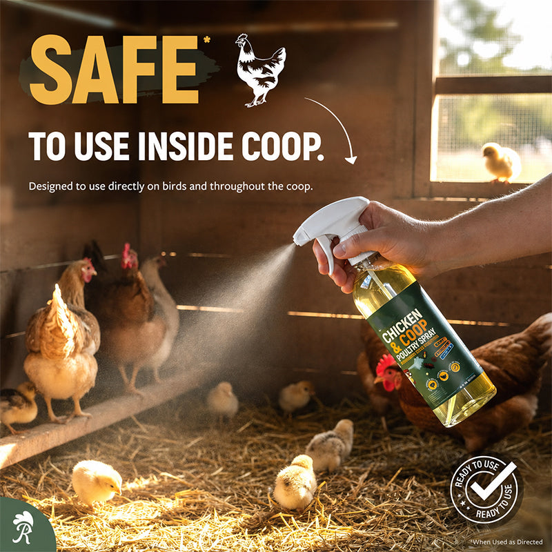❄️Summer Special: 50% Off!🐔Poultry & Chicken Coop Mite and Lice Spray – Ready to Use, 120 m