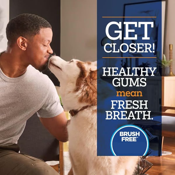 Last Day 50% OFF🔥No-Brush Dog Dental Gel