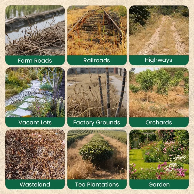 ⌛Clearing out stock—once it's gone, it's gone.👨‍⚕️Recommended by environmental biology expertsFast-acting High-concentration Herbicide🌾Will not damage the soil or the root system