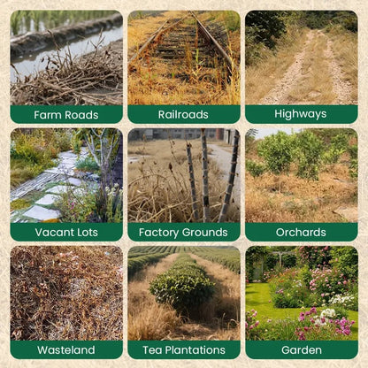 ⌛Clearing out stock—once it's gone, it's gone.👨‍⚕️Recommended by environmental biology expertsFast-acting High-concentration Herbicide🌾Will not damage the soil or the root system