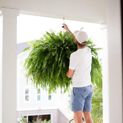 🎁Hot Sale 49% OFF🔥Oversized Pre-Lit Artificial Boston Ferns - No watering, No fading