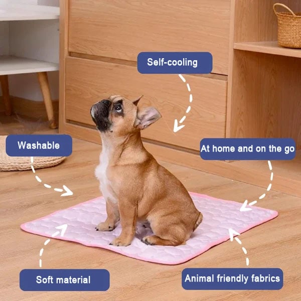 Last Day 50% OFF🔥Stay Cool & Comfy 🧊Dog Cooling Mat (4x more effective)