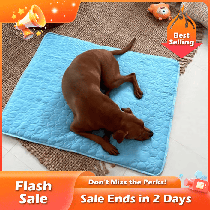 Last Day 50% OFF🔥Stay Cool & Comfy 🧊Dog Cooling Mat (4x more effective)