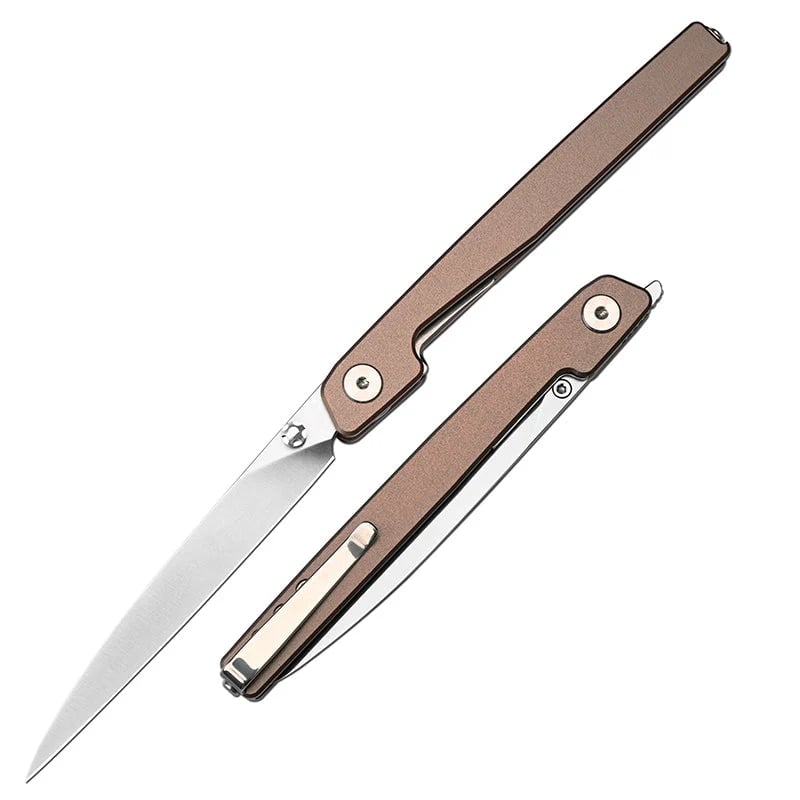 🔥Last Day Sale 50% OFF🎉Lanky Liner Lock Front Flipper Knife Black Aluminum Handle