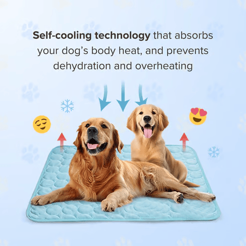 Last Day 50% OFF🔥Stay Cool & Comfy 🧊Dog Cooling Mat (4x more effective)