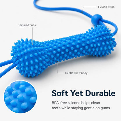 🔥LAST DAY 49% OFF🐶 Dog Dental Chew Toy