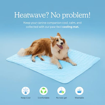 Last Day 50% OFF🔥Stay Cool & Comfy 🧊Dog Cooling Mat (4x more effective)