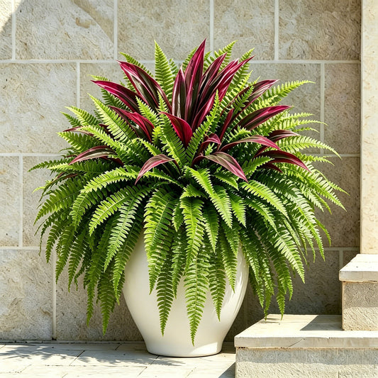 💥Summer Special🔥 UV-Resistant Artificial Fern & Red Dracaena Decorative Plants – Full, Lush & Fade-Resistant!（副本）