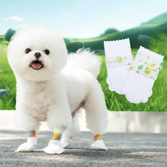 🐾 Ultimate All-Weather Disposable Dog Shoes – All-Year Paw Protection & Comfort 🐶