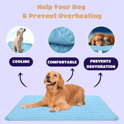 Last Day 50% OFF🔥Stay Cool & Comfy 🧊Dog Cooling Mat (4x more effective)