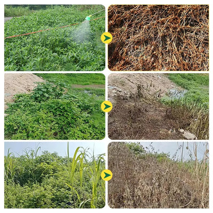 ⌛Clearing out stock—once it's gone, it's gone.👨‍⚕️Recommended by environmental biology expertsFast-acting High-concentration Herbicide🌾Will not damage the soil or the root system