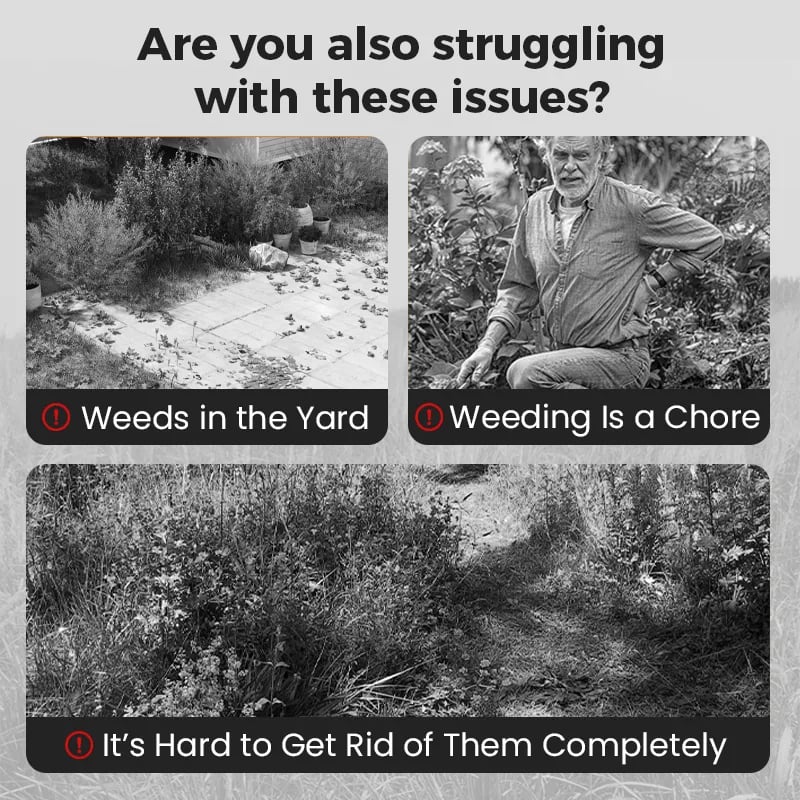 ⌛Clearing out stock—once it's gone, it's gone.👨‍⚕️Recommended by environmental biology expertsFast-acting High-concentration Herbicide🌾Will not damage the soil or the root system