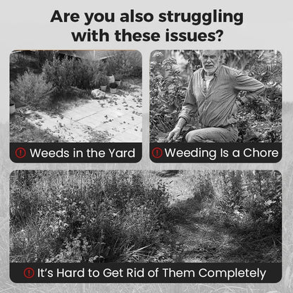 ⌛Clearing out stock—once it's gone, it's gone.👨‍⚕️Recommended by environmental biology expertsFast-acting High-concentration Herbicide🌾Will not damage the soil or the root system