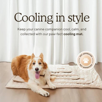 Last Day 50% OFF🔥Stay Cool & Comfy 🧊Dog Cooling Mat (4x more effective)