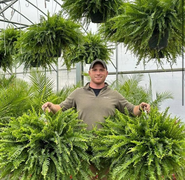 🎁Hot Sale 49% OFF🔥Oversized Pre-Lit Artificial Boston Ferns - No watering, No fading