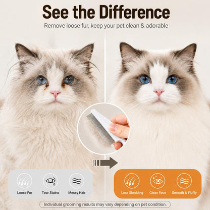 Pet Face Comb Set for Cats & Dogs, Fine Tooth Stainless Steel Grooming Comb, Removes Loose Fur, Flea & Lice Removal Comb, Anti-Shedding, Small & Large Size (2PCS)