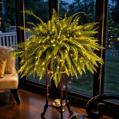 💛Glowing Boston Ferns with Lights – 🌿 Zero Watering, Zero Maintenance