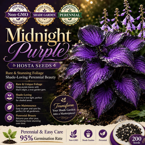 🔥Last day clearance🔥Premium Rare Hosta Seeds🌌Shade-Tolerant Plant