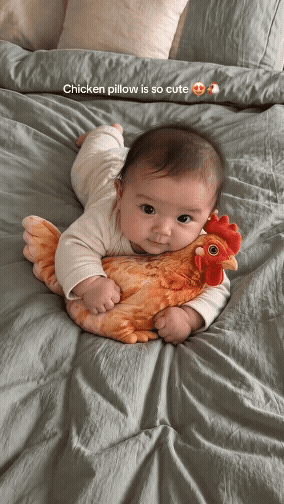 🐔Chicken-Shaped Plush Pillow - Cute Hen Stuffed Animal, Realistic Look Home Decorative Cushion🎁
