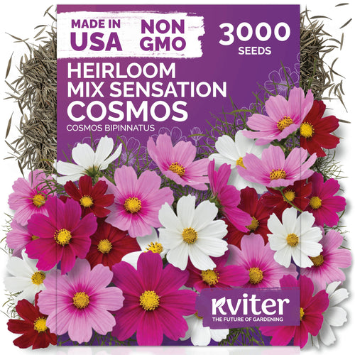 3,000 Mix Sensation Cosmos Heirloom Flower Seeds,  Easy Grow Annual Cosmos Bipinnatus