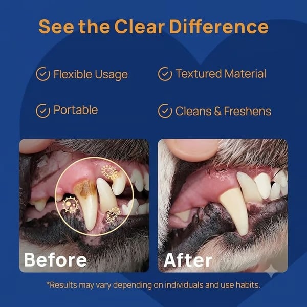 Last Day 50% OFF🔥No-Brush Dog Dental Gel
