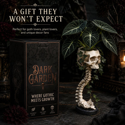 💥 LAST DAY 49% OFF - 💀🌿 Sculptured Skull Flowerpot