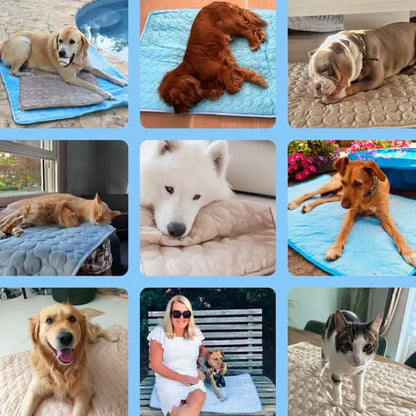 Last Day 50% OFF🔥Stay Cool & Comfy 🧊Dog Cooling Mat (4x more effective)