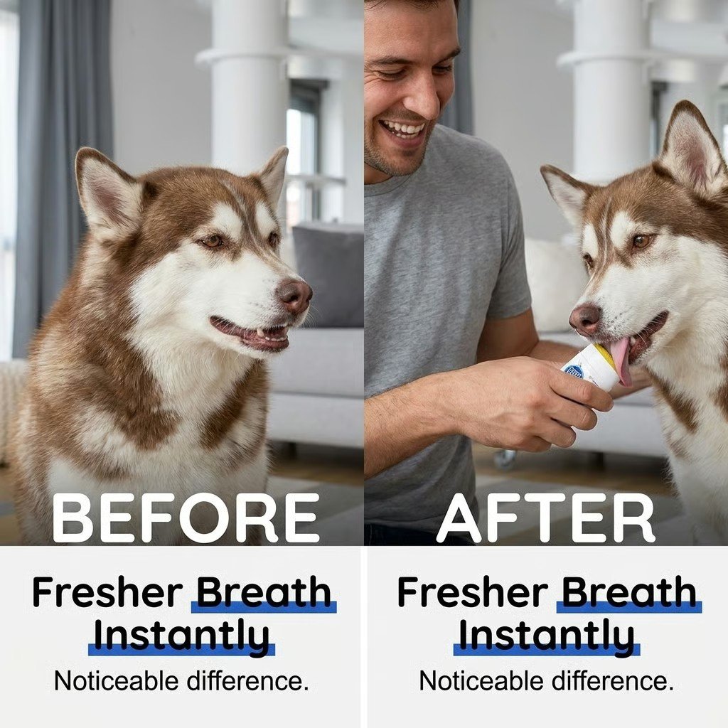 Last Day 50% OFF🔥No-Brush Dog Dental Gel