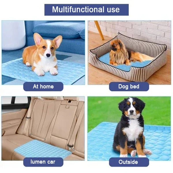 Last Day 50% OFF🔥Stay Cool & Comfy 🧊Dog Cooling Mat (4x more effective)