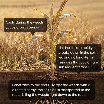 ⌛Clearing out stock—once it's gone, it's gone.👨‍⚕️Recommended by environmental biology expertsFast-acting High-concentration Herbicide🌾Will not damage the soil or the root system