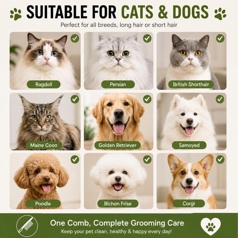 Pet Face Comb Set for Cats & Dogs, Fine Tooth Stainless Steel Grooming Comb, Removes Loose Fur, Flea & Lice Removal Comb, Anti-Shedding, Small & Large Size (2PCS)