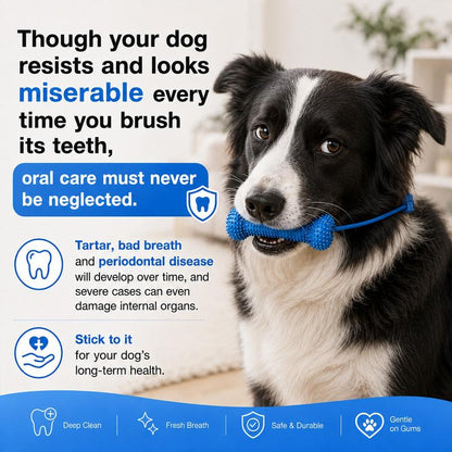 🔥LAST DAY 49% OFF🐶 Dog Dental Chew Toy