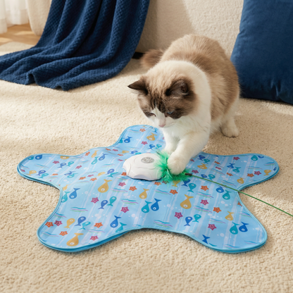 🐱 Stop Bored Cats From Turning Your Home Into Their Playground