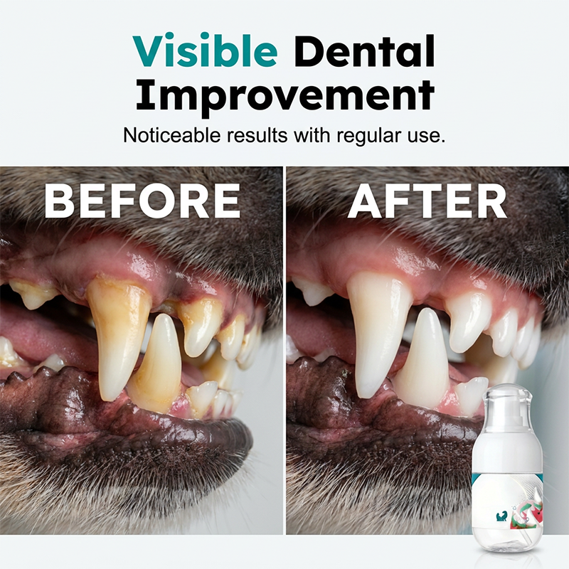 🐾No-Brush Pet Dental Care Liquid– Pet Dental Care Made Easy🦷