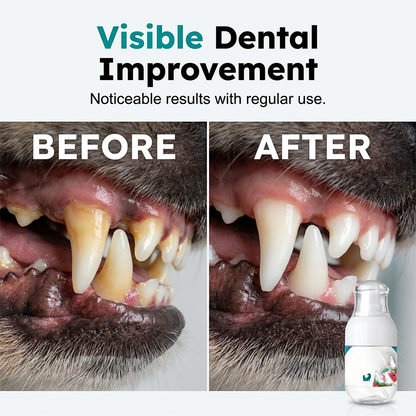 🐾No-Brush Pet Dental Care Liquid– Pet Dental Care Made Easy🦷