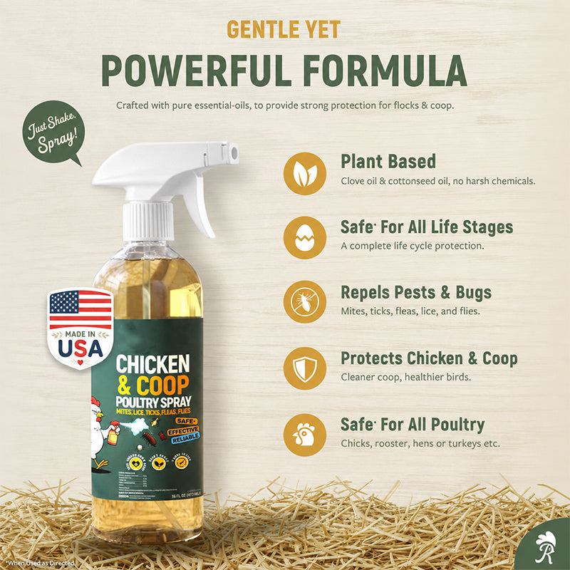 ❄️Summer Special: 50% Off!🐔Poultry & Chicken Coop Mite and Lice Spray – Ready to Use, 120 m