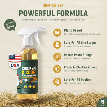 ❄️Summer Special: 50% Off!🐔Poultry & Chicken Coop Mite and Lice Spray – Ready to Use, 120 m