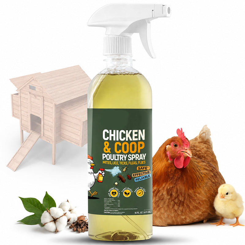 ❄️Summer Special: 50% Off!🐔Poultry & Chicken Coop Mite and Lice Spray – Ready to Use, 120 m