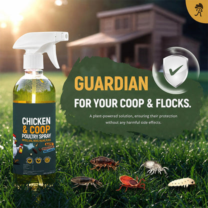 ❄️Summer Special: 50% Off!🐔Poultry & Chicken Coop Mite and Lice Spray – Ready to Use, 120 m